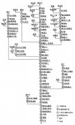 西服有哪些工序？貴在哪里？